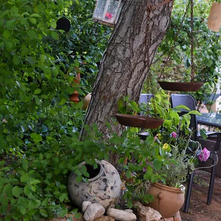 Hospederia De La Corte Casa Rural Con Encanto En La Sierra De