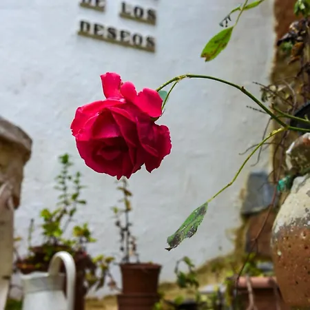 Hospederia De La Corte Casa Rural Con Encanto En La Sierra De Aracena